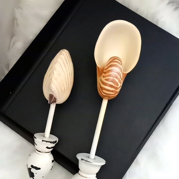 "SHABBY CHIC" Shell Decor - Picture 10 of 12